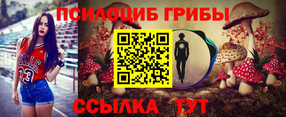 Трёхгорный  Псилоцибиновые грибы Psilocybine cubensis  Вход с VPN 